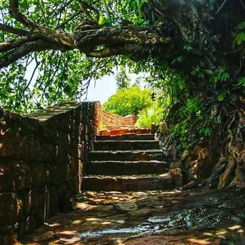 Le Petit Jardin Bed & Breakfast Demnat Dış mekan fotoğraf